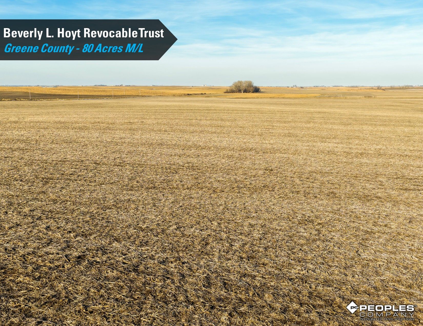 Listing Photo: Hoyt-Trust-Greene-County-Iowa-80Acres-Scranton-18837 (15)